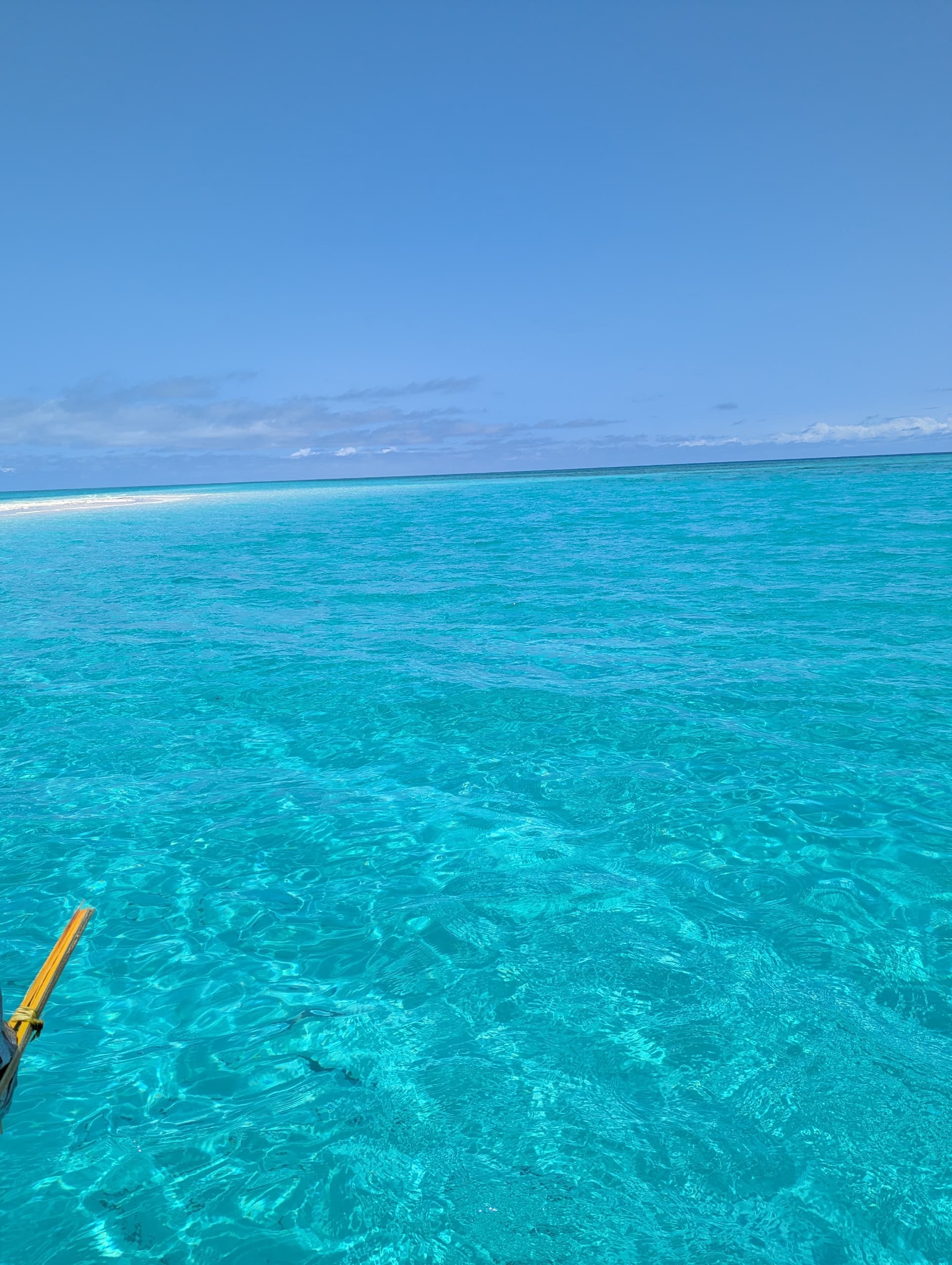 Mafia Island vs Zanzibar