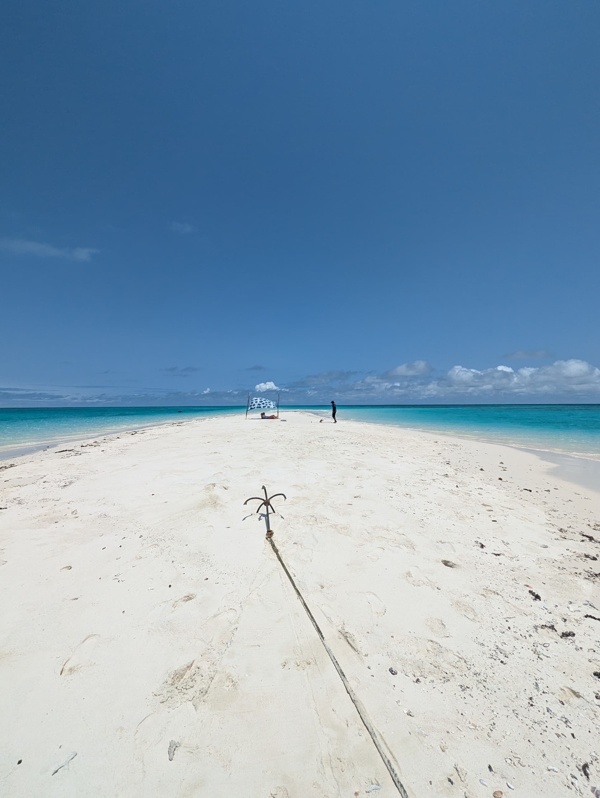 Mafia Island vs Zanzibar