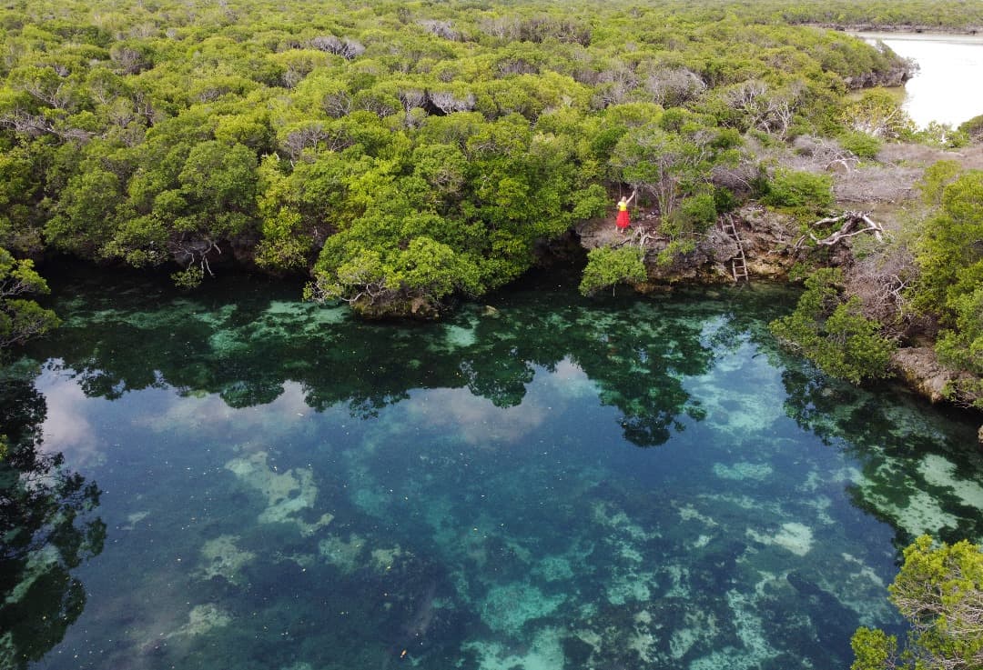 15 Best Things to Do in Mafia Island